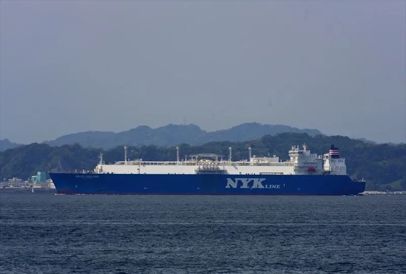 GRACE BARLERIA General Cargo IMO 9315719 photo 8