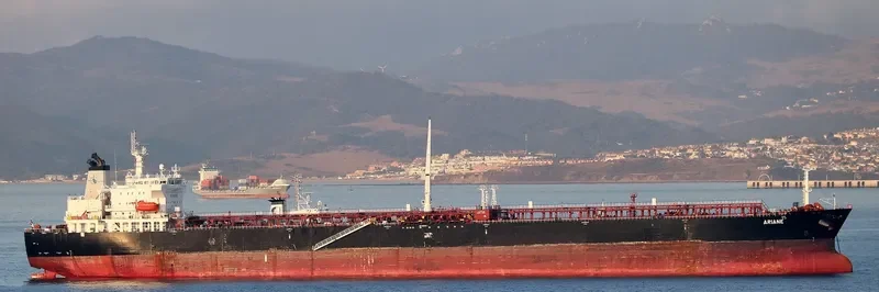 ARIANA Bulk Carrier IMO 9316048
