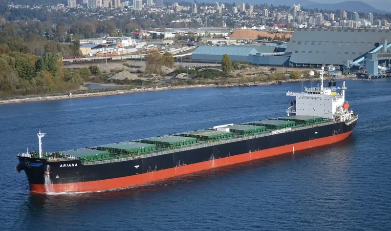 ARIANA Bulk Carrier IMO 9316048 photo 6