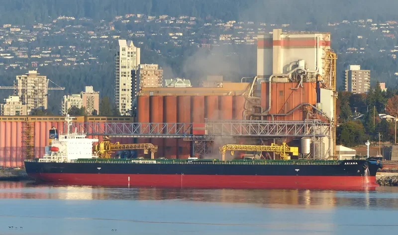 ARIANA Bulk Carrier IMO 9316048 photo 8