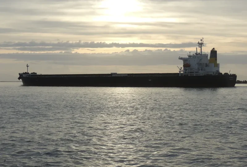 ARIANA Bulk Carrier IMO 9316048 photo 10