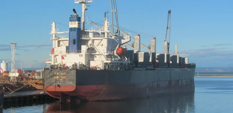JIN HANG FU ZHAN Bulk Carrier IMO 9316218