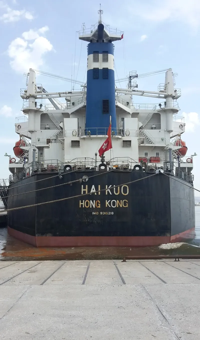 JIN HANG FU ZHAN Bulk Carrier IMO 9316218 photo 5