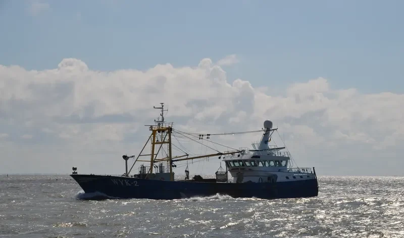 JOHANNA LEINTJE General Cargo IMO 9316426