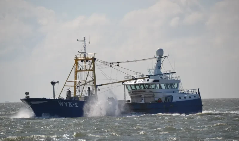 JOHANNA LEINTJE General Cargo IMO 9316426 photo 2