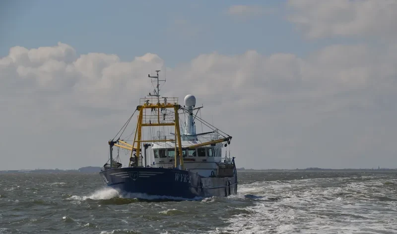 JOHANNA LEINTJE General Cargo IMO 9316426 photo 3