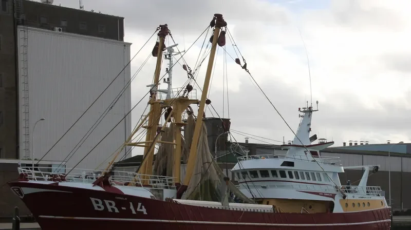 JOLISSA General Cargo IMO 9316438 photo 9