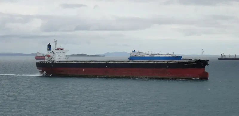 AGIOS KONSTANTINOS Bulk Carrier IMO 9316660 photo 5