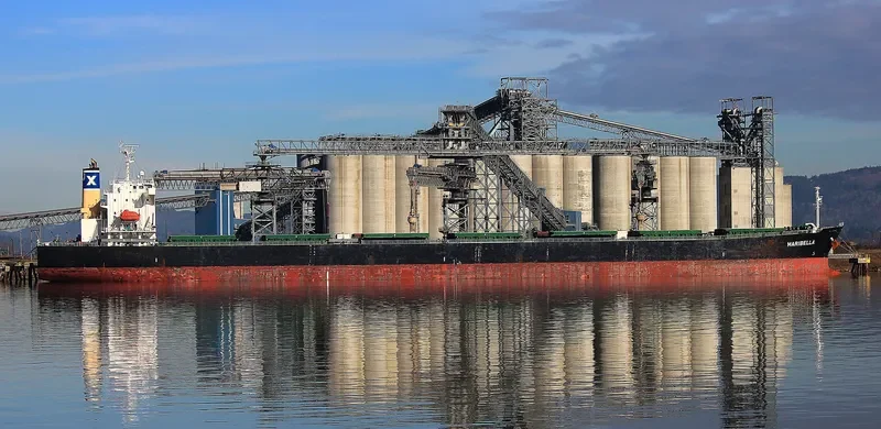 MARIBELLA Bulk Carrier IMO 9316672