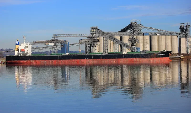 MARIBELLA Bulk Carrier IMO 9316672 photo 3