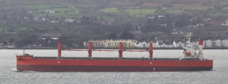KAPETAN SIDERIS Bulk Carrier IMO 9316816 photo 7
