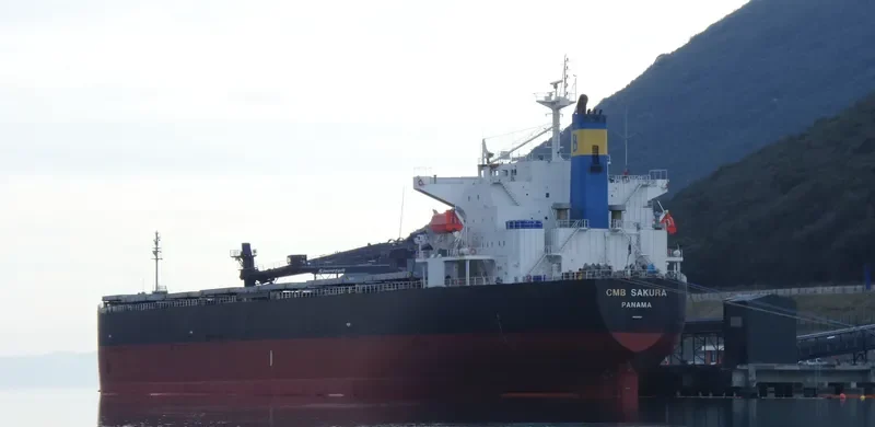 HENG AN YANG Bulk Carrier IMO 9316854 photo 4