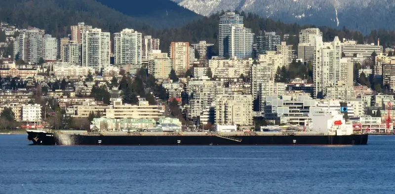 DANAE R Bulk Carrier IMO 9316878 photo 2