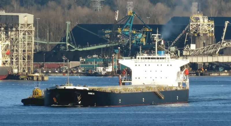 DANAE R Bulk Carrier IMO 9316878 photo 4