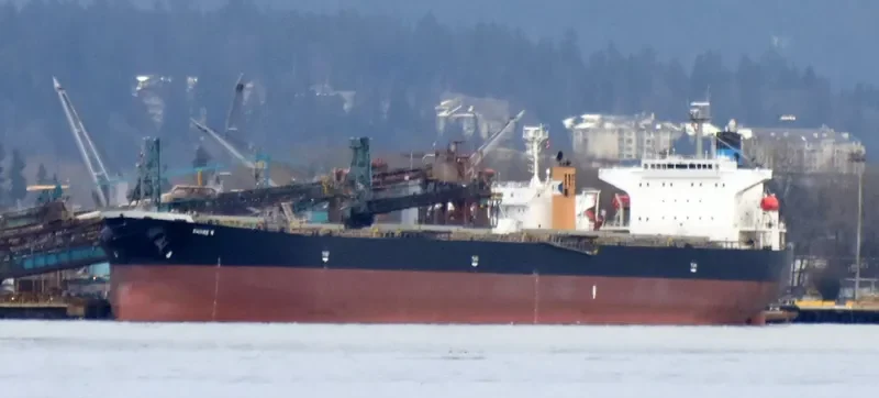 DANAE R Bulk Carrier IMO 9316878 photo 6