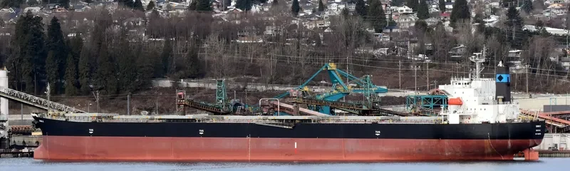 DANAE R Bulk Carrier IMO 9316878 photo 7
