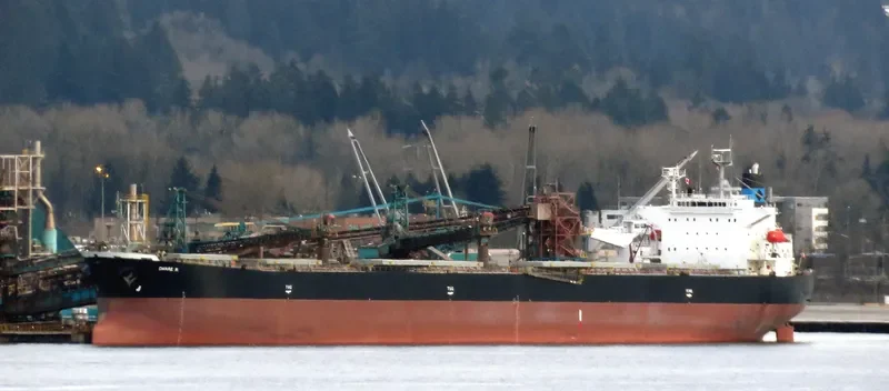 DANAE R Bulk Carrier IMO 9316878 photo 8