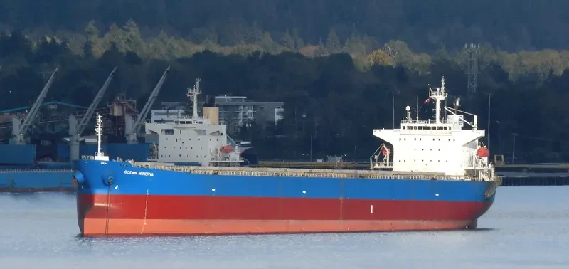 KAVO PALOMA Bulk Carrier IMO 9316880