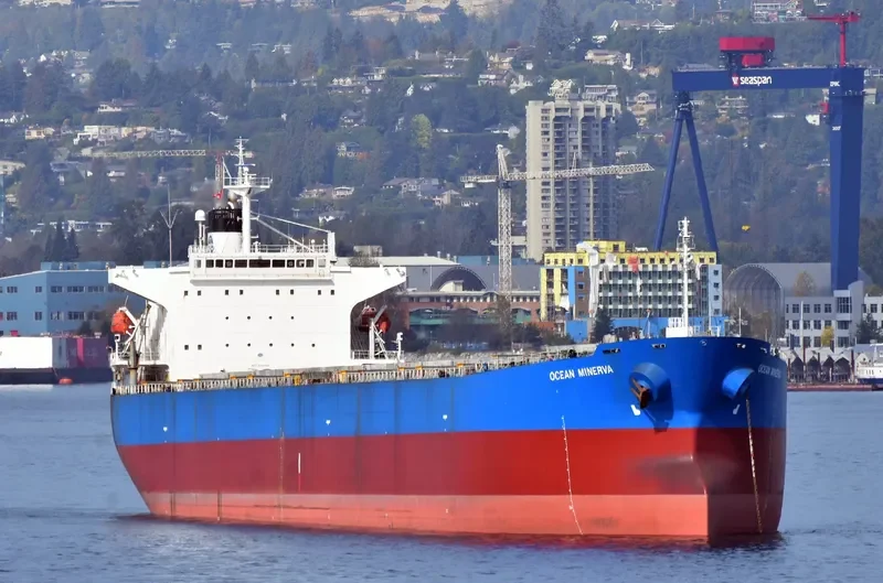 KAVO PALOMA Bulk Carrier IMO 9316880 photo 2