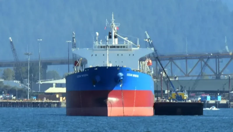 KAVO PALOMA Bulk Carrier IMO 9316880 photo 4