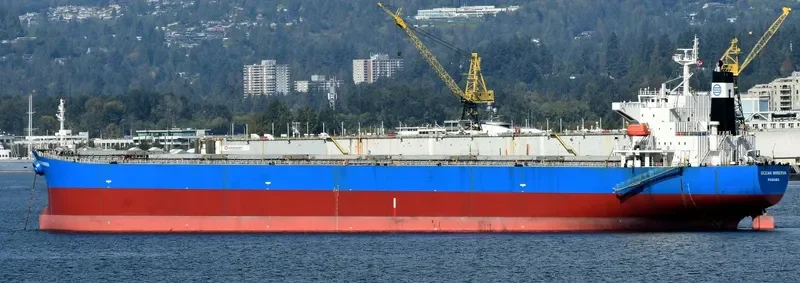 KAVO PALOMA Bulk Carrier IMO 9316880 photo 6
