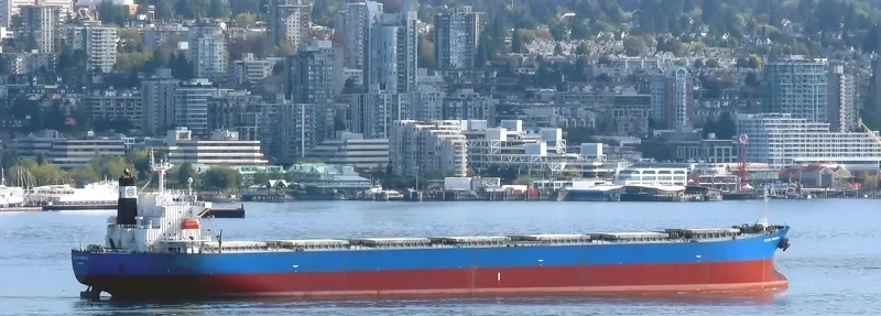 KAVO PALOMA Bulk Carrier IMO 9316880 photo 8