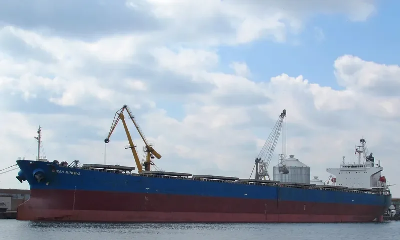 KAVO PALOMA Bulk Carrier IMO 9316880 photo 10
