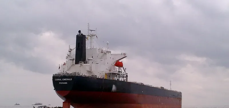 CORAL EMERALD Bulk Carrier IMO 9316892 photo 3