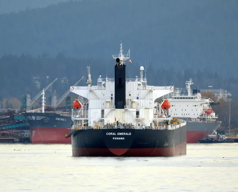 CORAL EMERALD Bulk Carrier IMO 9316892 photo 8