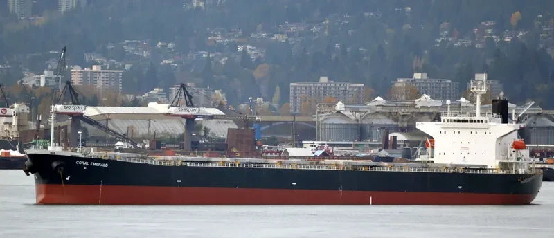 CORAL EMERALD Bulk Carrier IMO 9316892 photo 9