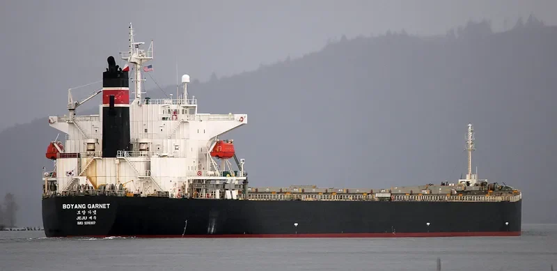 BOYANG GARNET Bulk Carrier IMO 9316907