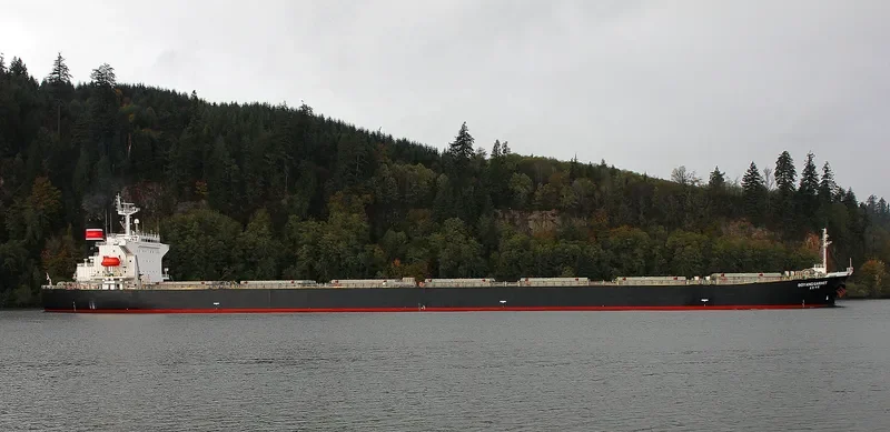 BOYANG GARNET Bulk Carrier IMO 9316907 photo 3
