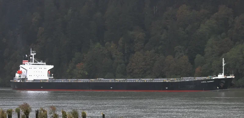BOYANG GARNET Bulk Carrier IMO 9316907 photo 9
