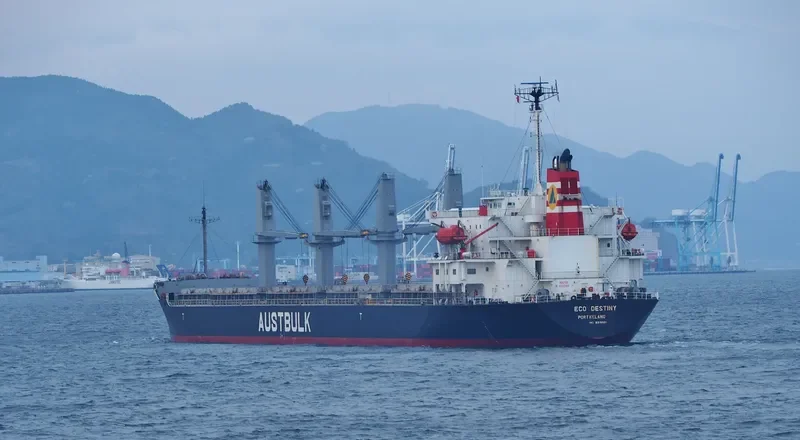 ECO DESTINY Bulk Carrier IMO 9316921 photo 3