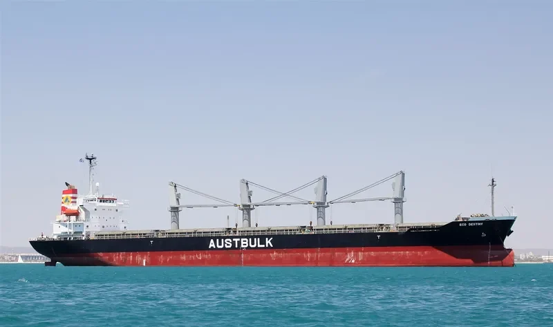 ECO DESTINY Bulk Carrier IMO 9316921 photo 6
