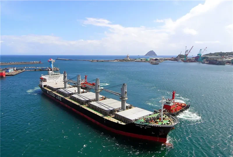 SUPER ARSENAL Bulk Carrier IMO 9316933 photo 5