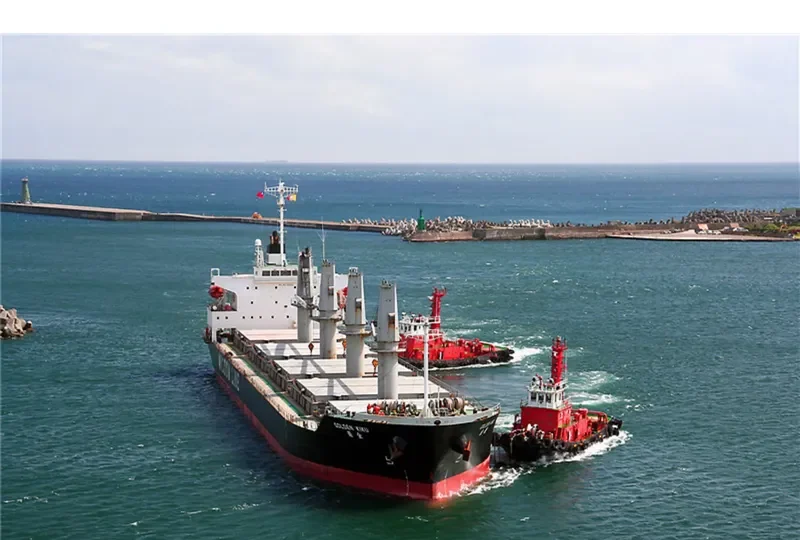 SUPER ARSENAL Bulk Carrier IMO 9316933 photo 6