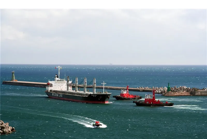 SUPER ARSENAL Bulk Carrier IMO 9316933 photo 7