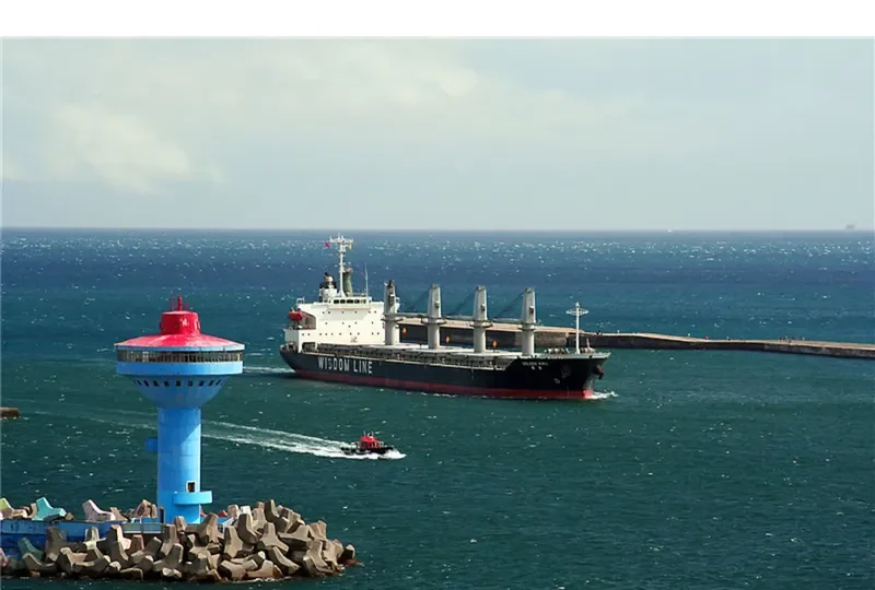 SUPER ARSENAL Bulk Carrier IMO 9316933 photo 8