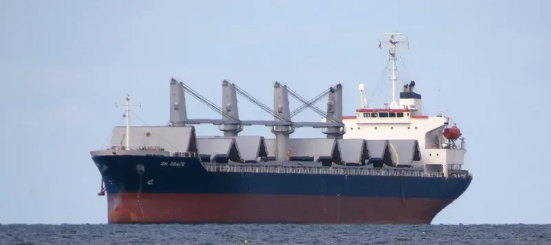 SUNRISE Bulk Carrier IMO 9316957 photo 9
