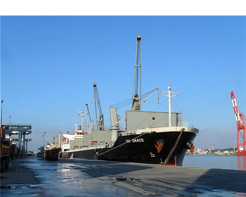SUNRISE Bulk Carrier IMO 9316957 photo 10