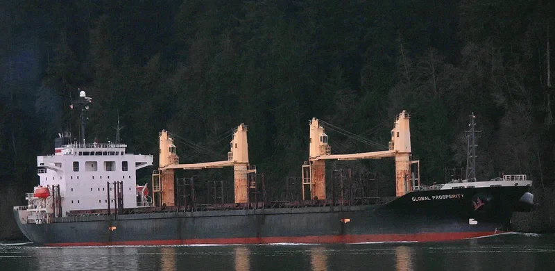 HAI NAM 87 Bulk Carrier IMO 9316969 photo 3