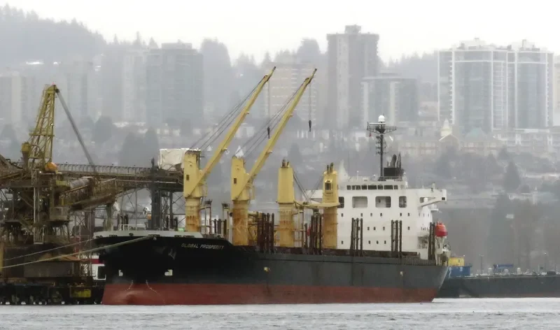 HAI NAM 87 Bulk Carrier IMO 9316969 photo 4