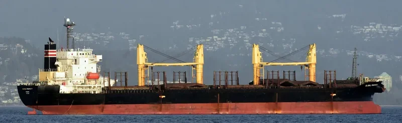 HAI NAM 87 Bulk Carrier IMO 9316969 photo 6