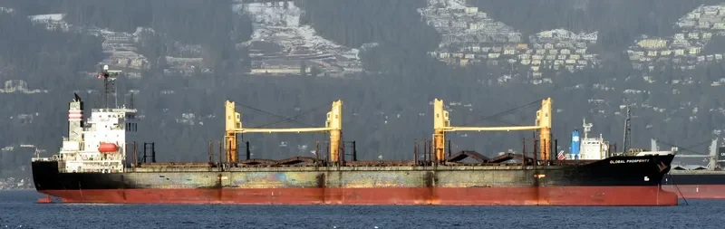 HAI NAM 87 Bulk Carrier IMO 9316969 photo 7