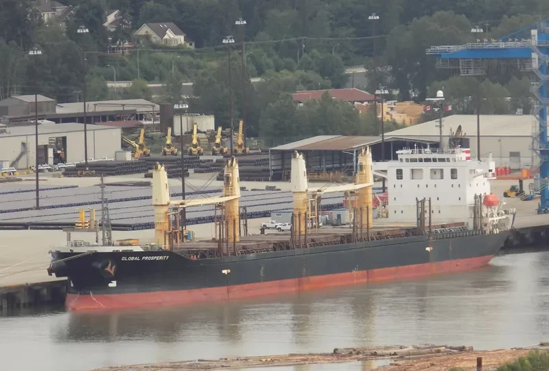 HAI NAM 87 Bulk Carrier IMO 9316969 photo 10