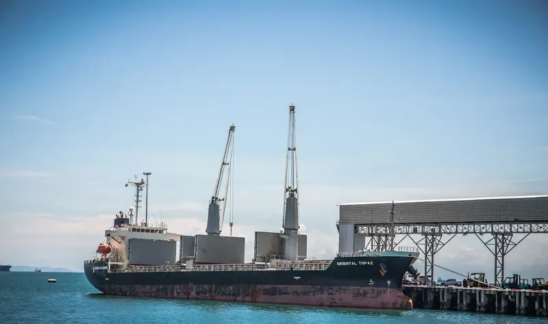 JC TREASURE Bulk Carrier IMO 9316971 photo 4
