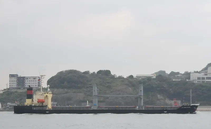 JC TREASURE Bulk Carrier IMO 9316971 photo 5