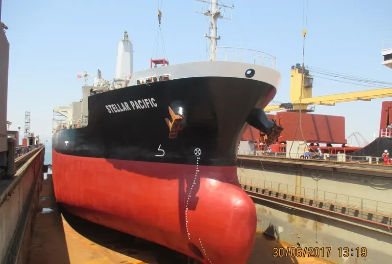STELLAR PACIFIC Bulk Carrier IMO 9316995 photo 4