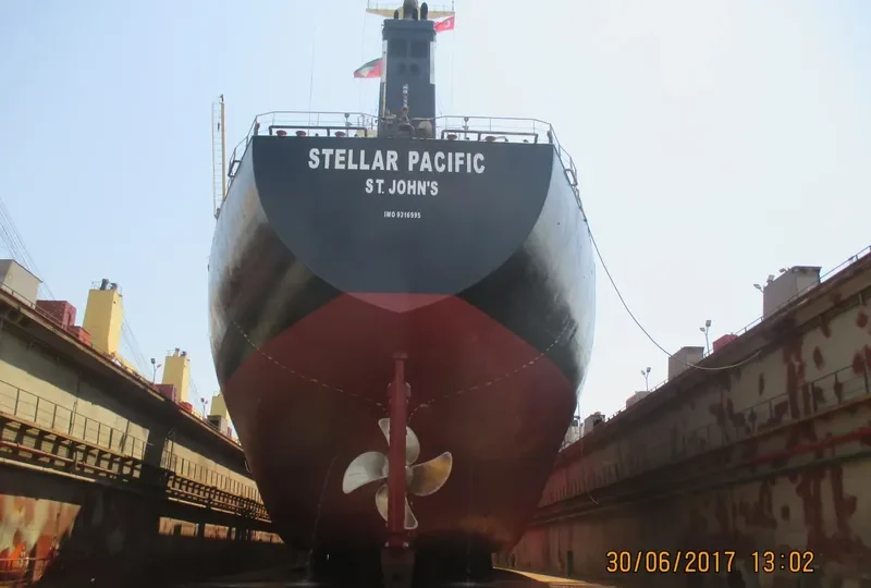 STELLAR PACIFIC Bulk Carrier IMO 9316995 photo 6